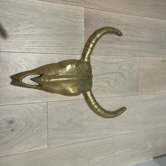 Ornate bull skull - Picture 2 of 2